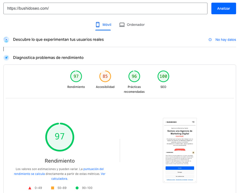 Resultado de PageSpeed Insights de la web bushidoseo