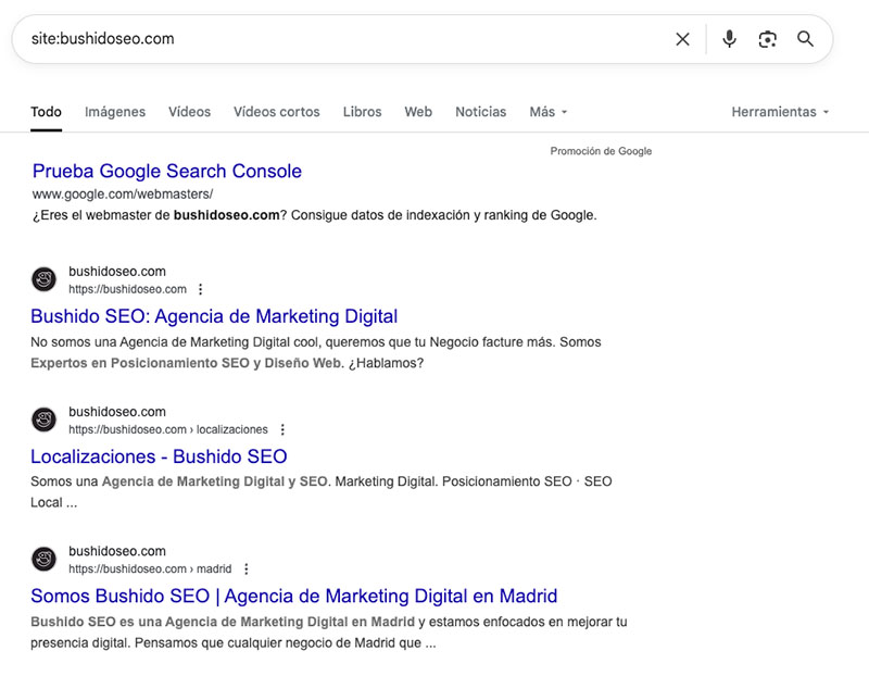 Resultados del comando site de la web bushidoseo